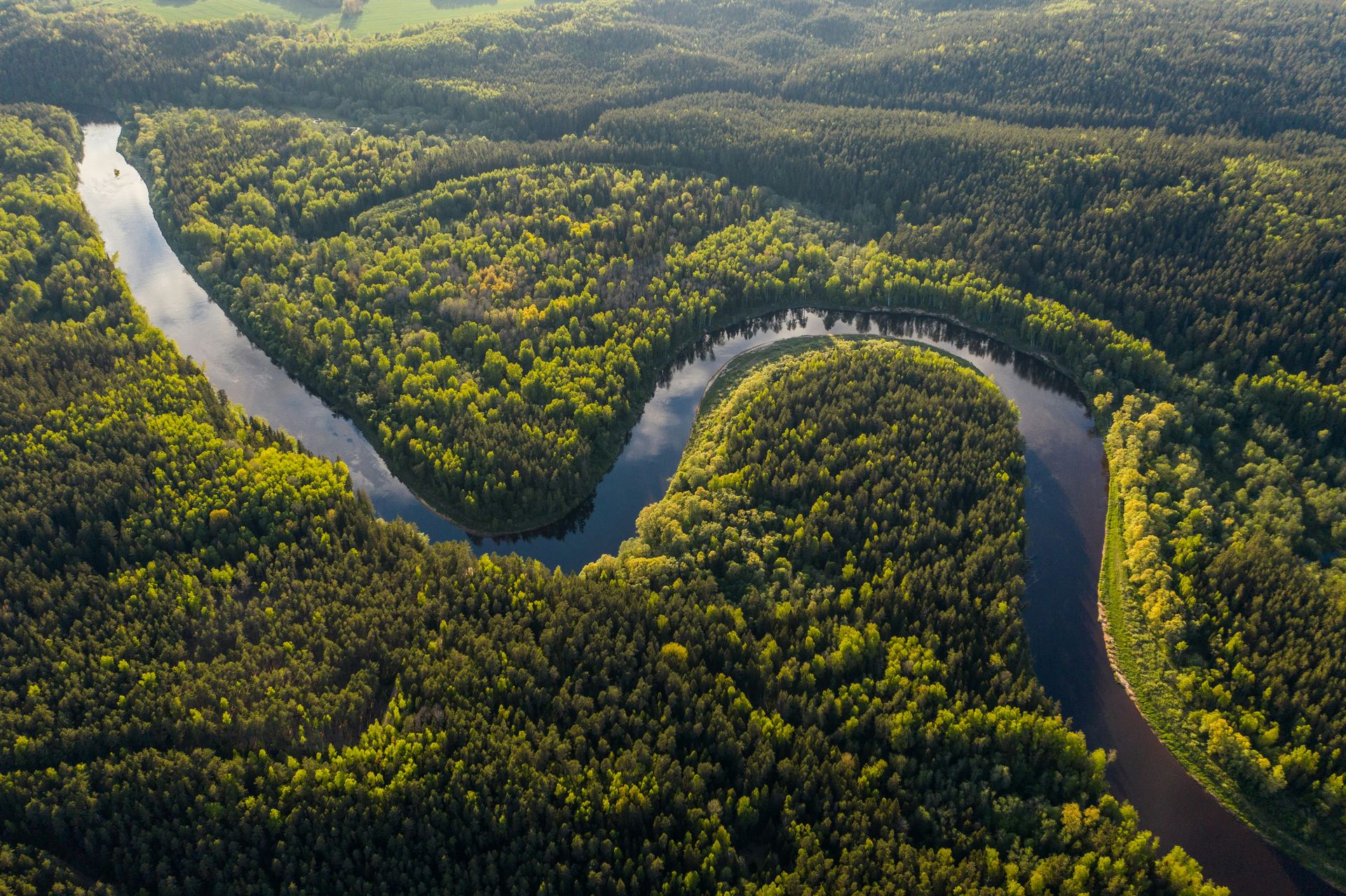 Aerial photograph of a protected river winding through dense green rainforest